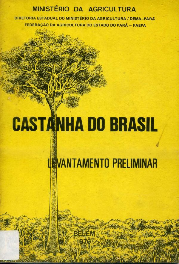 Castanha do Brasil - 634 SOA